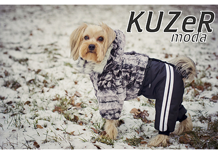 Новые модели одежды для собак.