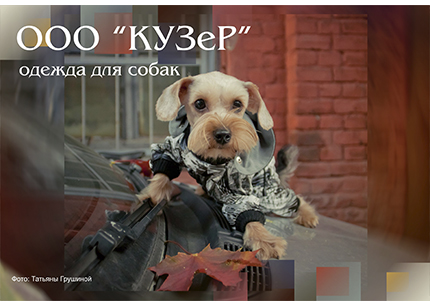 Новые модели одежды для собак.